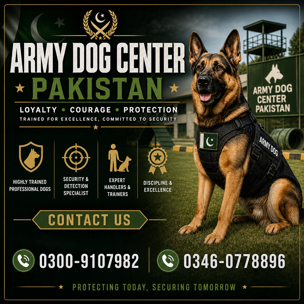 Best Guard Dogs Pakistan Trained German Shepherd Army Dogs Centers K9 Unit